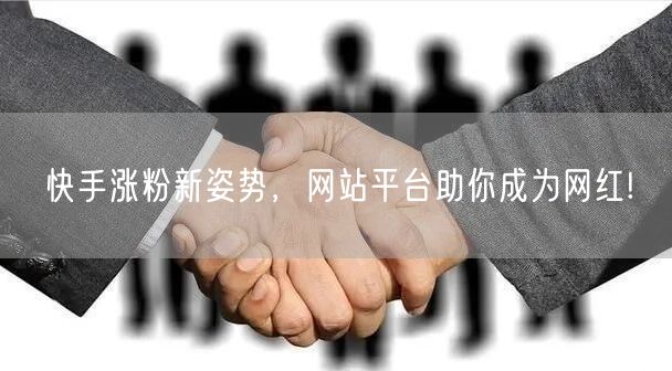 快手涨粉新姿势,网站平台助你成为网红!