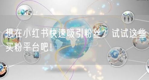 想在小红书快速吸引粉丝?试试这些买粉平台吧!