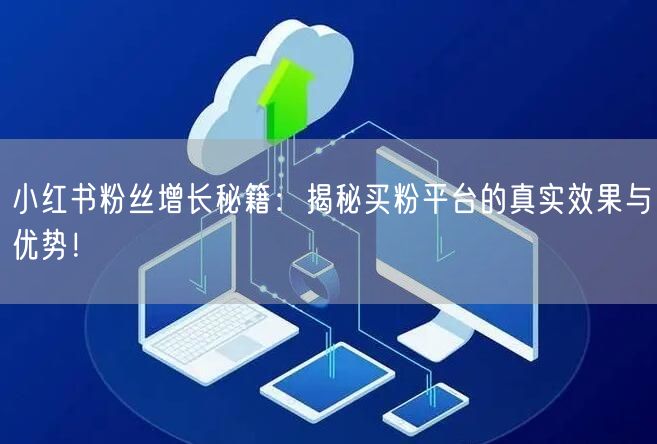 小红书粉丝增长秘籍:揭秘买粉平台的真实效果与优势!