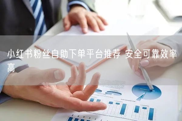 小红书粉丝自助下单平台推荐 安全可靠效率高