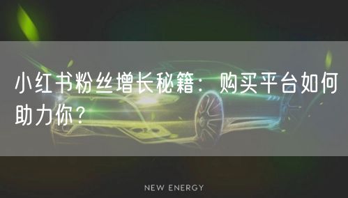 小红书粉丝增长秘籍:购买平台如何助力你?